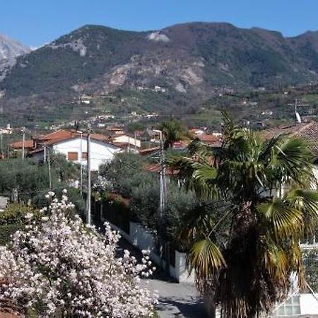 House Versilia Luca E Giada, 5 Chilometri Da Forte Dei Marmi! Exterior foto